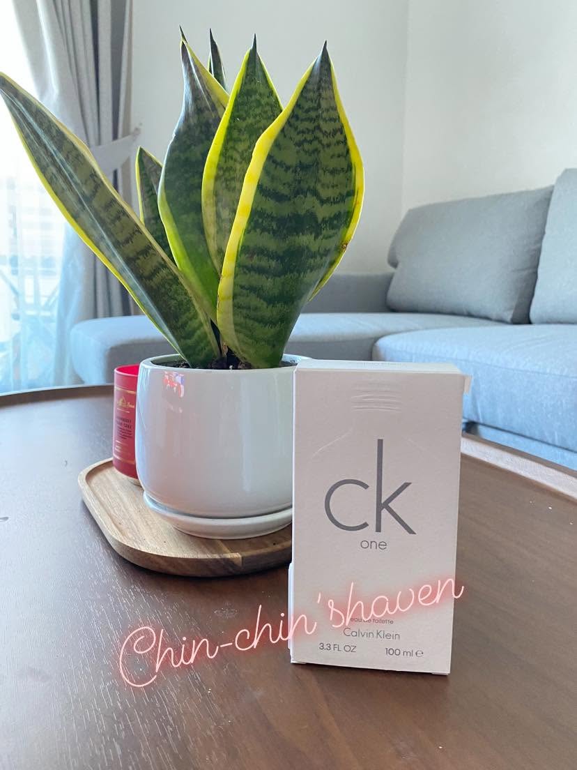 Calvin Klein Calvin Klein One